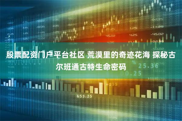 股票配资门户平台社区 荒漠里的奇迹花海 探秘古尔班通古特生命密码